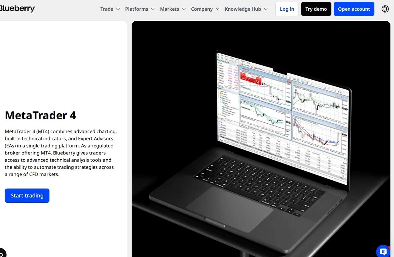 The platform page on the Blueberry Markets website